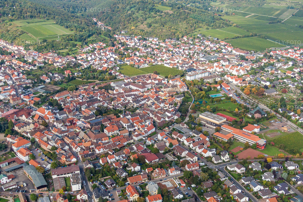 Luftbild: Ortsansicht der Straßen und Häuser der Wohngebiete in Wachenheim an der Weinstraße im Bundesland Rheinland-Pfalz in Deutschland. Foto: IMG_34291.jpg vom 03.10.2010 durch Werner Riehm/FLY-FOTO.de