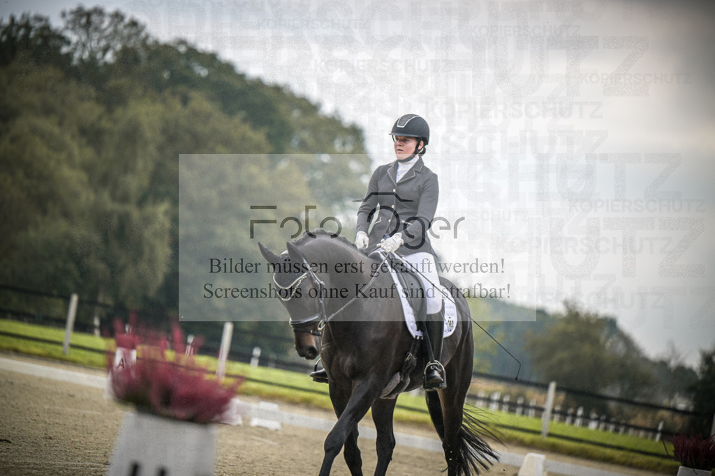 DOS_B341 | Entdecke hochwertige Reitturnierfotos von Foto Oger. Professionell, emotional und authentisch – jetzt Lieblingsmomente im Shop bestellen.Deutschlandweite Turnierfotografie. - Realisiert mit Pictrs.com