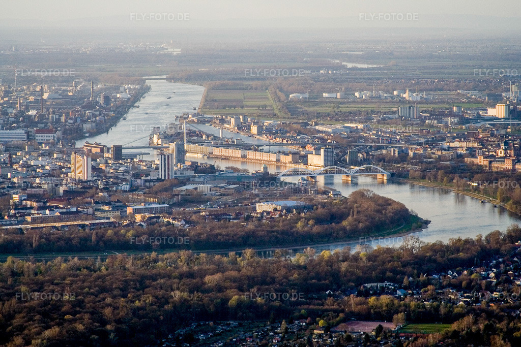 Luftbild: Stadtansicht am Ufer des Flußverlaufes des Rhein am Rhein im Ortsteil Süd in Ludwigshafen im Bundesland Rheinland-Pfalz in Deutschland. Foto: IMG_10129.jpg vom 29.03.2008 durch Werner Riehm/FLY-FOTO.de