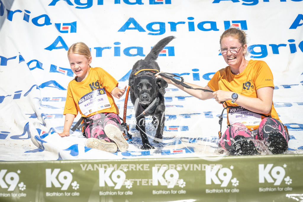 1454_ZZ96359 | kk-dogfotos