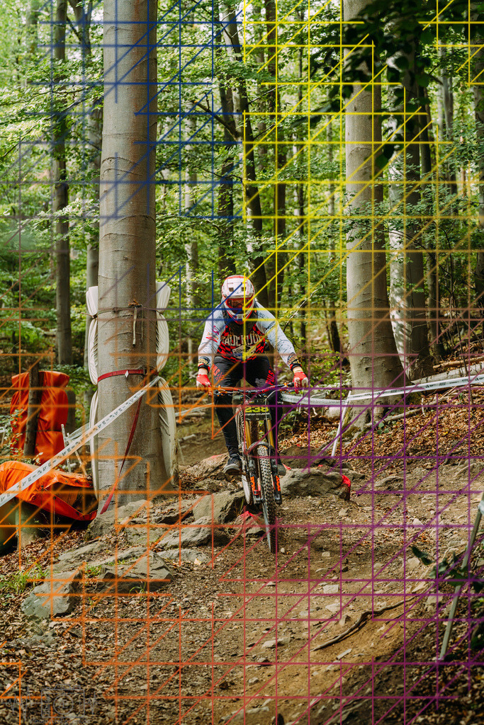 PAE-2022 | Einzigartige Fotokunst für dein Zuhause: Entdecke hochwertige Wandbilder, edle Prints und emotionale Motive von Wildlife, Natur und Landschaften - Realisiert mit Pictrs.com