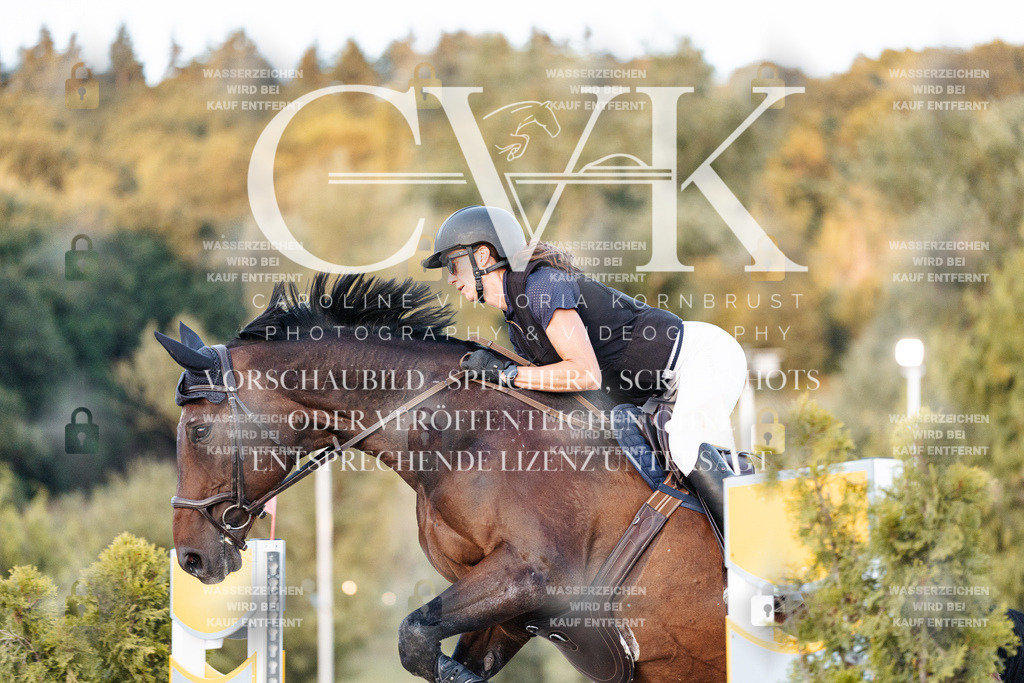 CK901342 | Turnierfotografie Pferdefotografie Trier Rheinland-Pfalz Pferdesport Reitsport Tierfotografie Sportfotografie Pferdevideo Pferdevideografie Equestrianvideography equestrianphotography  - Realisiert mit Pictrs.com