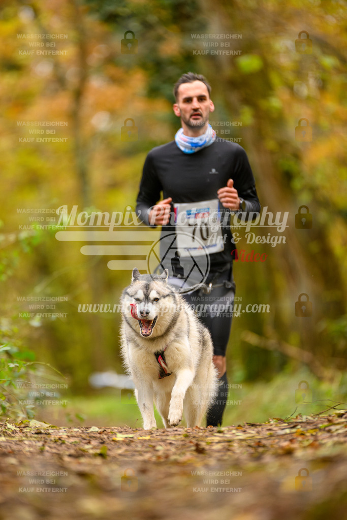 MompixPhotography_Bischwiller24_SA_Canicross-81 | PayLife