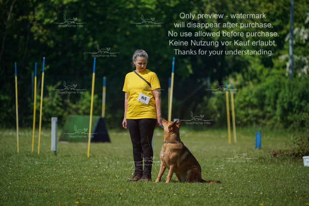 Sa_Gehorsam_Vormittag-167 | stephaniefillaphotographie - Realisiert mit Pictrs.com