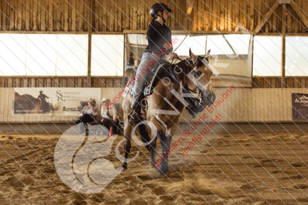 IMG_5105 | Sport-, Event- und Tierfotos in Profiqualität. Einfach auswählen, bestellen und herunterladen. Dein Moment – perfekt festgehalten.