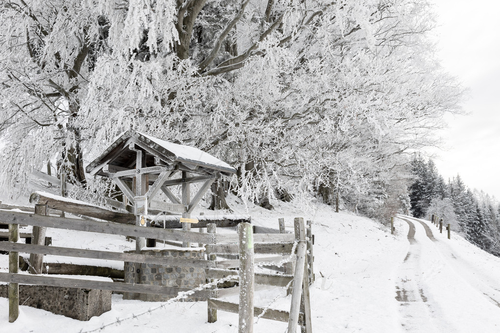 Franzenreith_Frost_Randegg_2024_Mostdirn_Irmgard_Wieser-3435 | Ihre Fotografin im Lungau, ihre Fotografin im Mostviertel, Wandbilder Onlineshop, Imagefotos für Ihr Unternehmen,  - Realisiert mit Pictrs.com