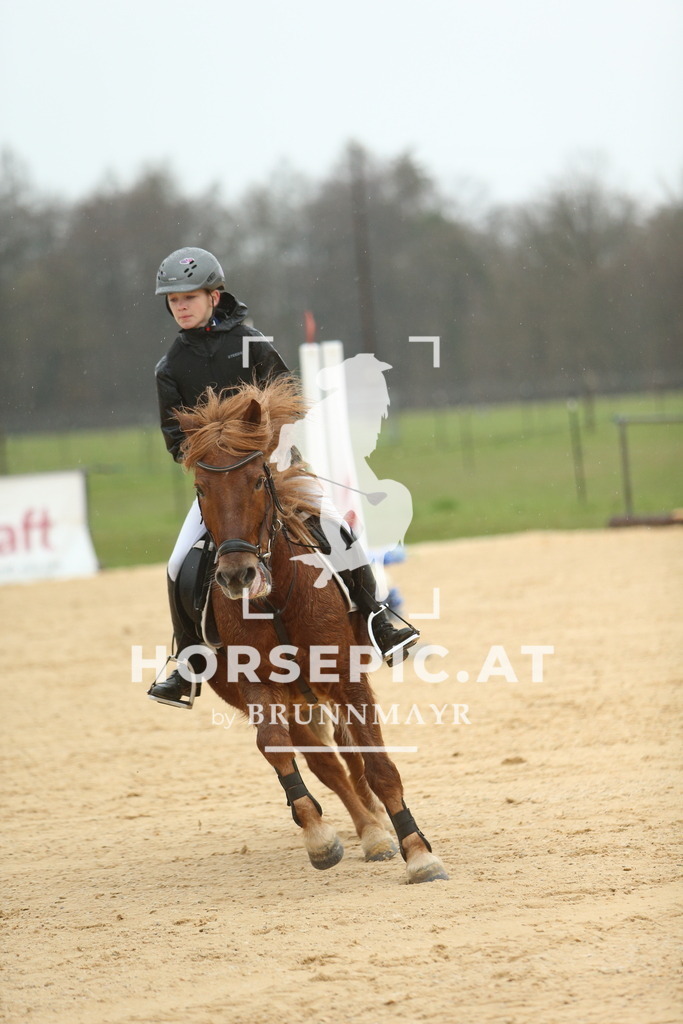 DL2Q0944 | Willkommen bei Brunnmayr - Design & Fotografie – Ihrem Spezialisten für Reitturniere und Pferdeveranstaltungen in Oberösterreich, Salzburg und Bayern! Seit über 17 Jahren sind wir leidenschaftlich dabei.