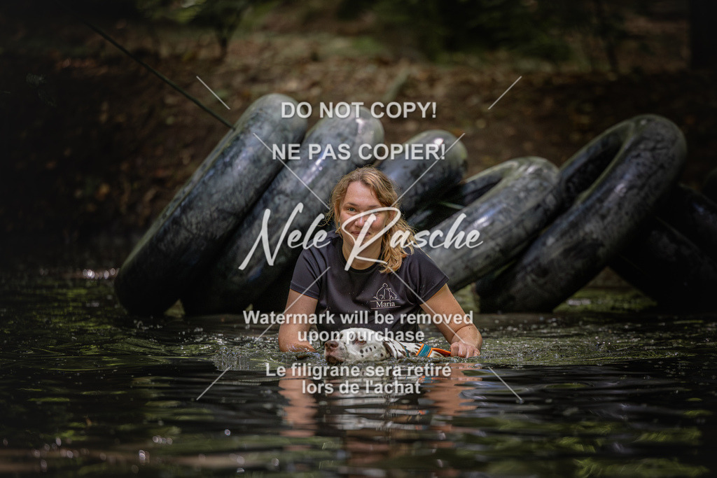 nelerasche_SaWingst1400-1500_440 | nelerasche