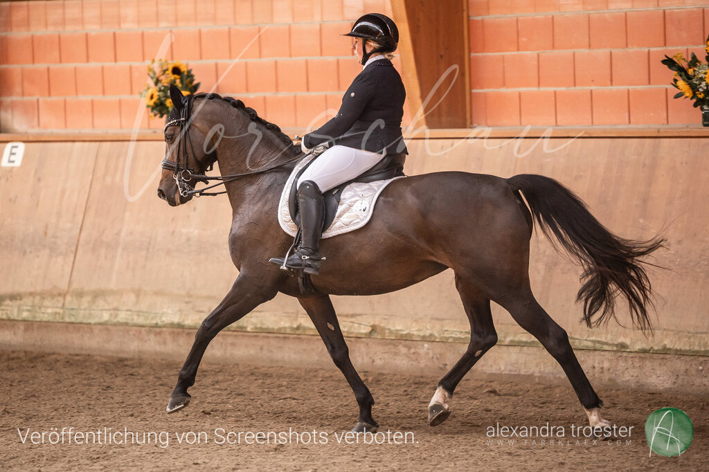 250914_Barop_14_047 | farbklaex.com