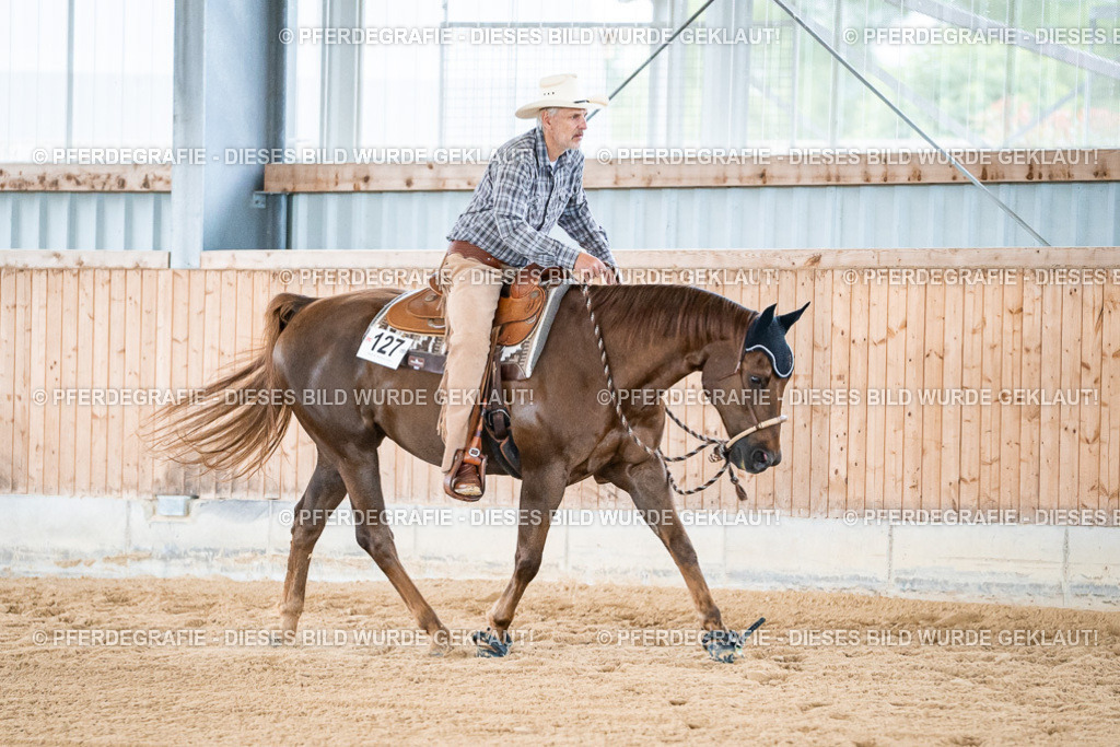 DSC08734 | Pferdegrafie