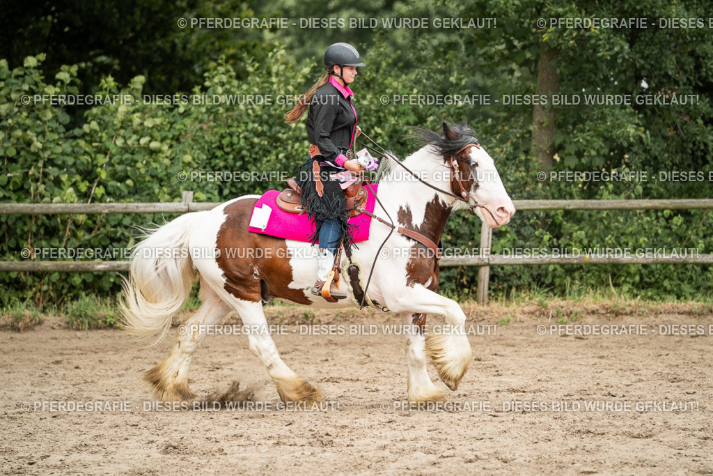 DSC04100 | Pferdegrafie