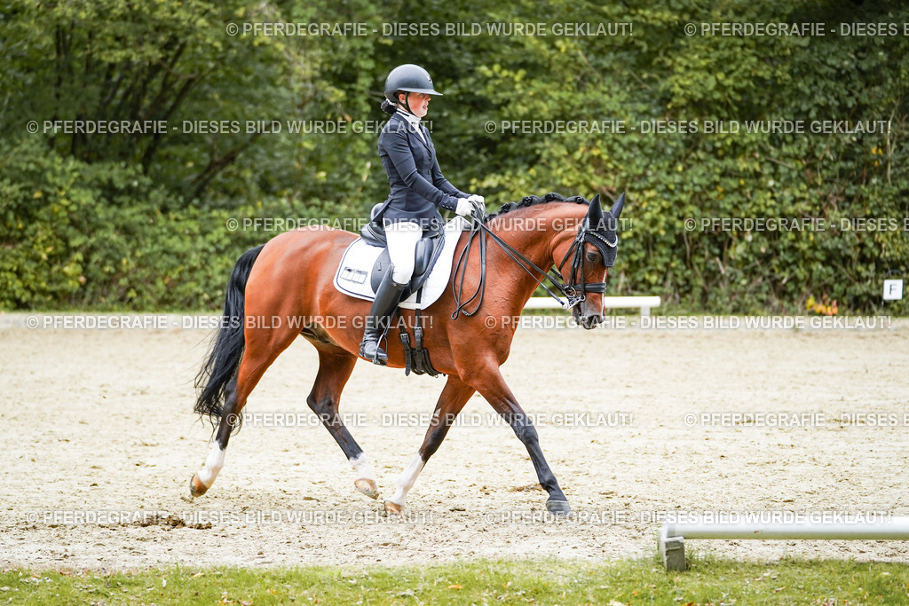 DSC01740 | Pferdegrafie