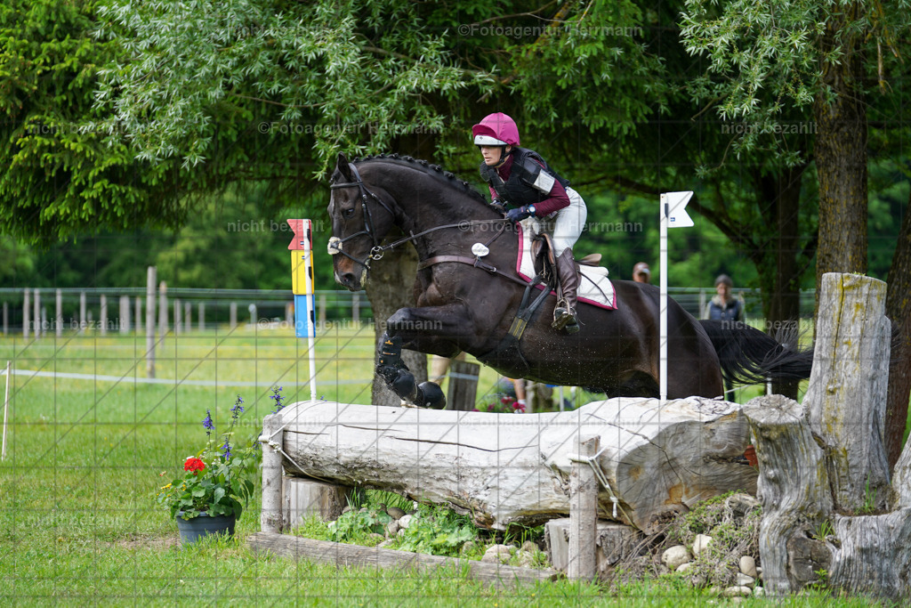 20240518-FAH03827 | Turnierbilder von Niederseon, Turnierfotografen Bayern, Fotoagentur Herrmann, Geländebilder, Reitsportfotografie