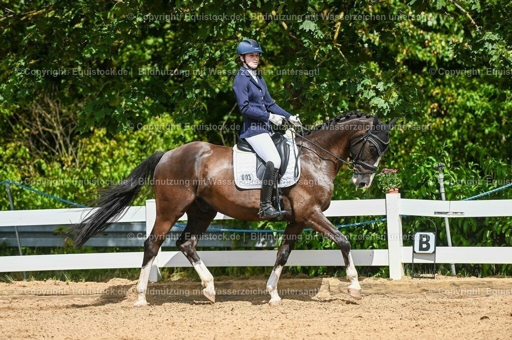 20230715_02_Dressurreiterprüfung Kl.L_0274 | equistock