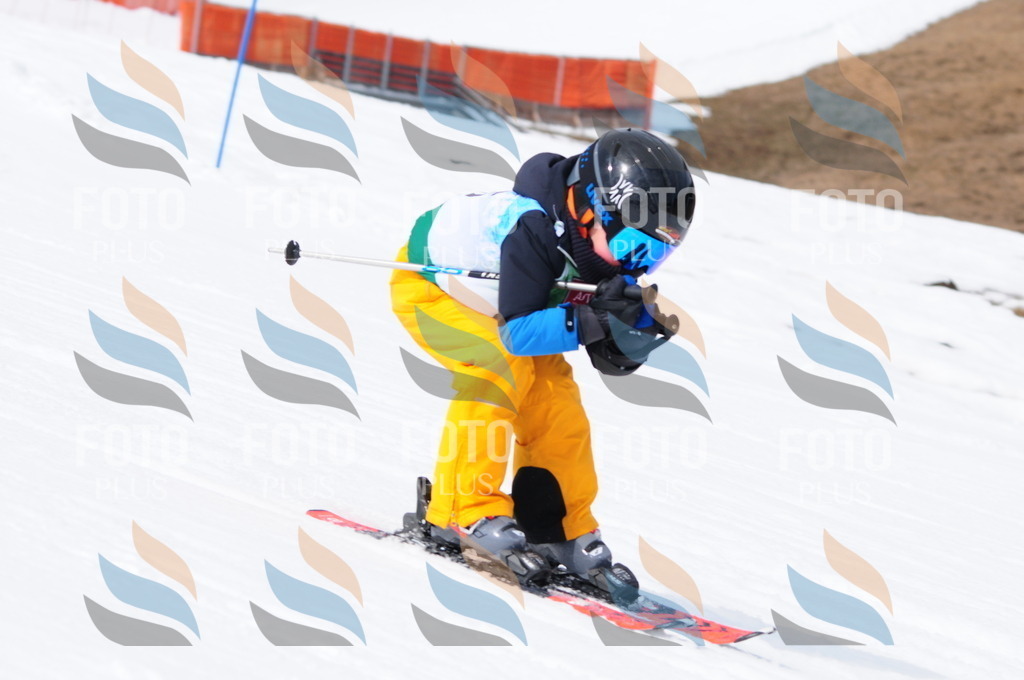 A3827 | holidayphoto