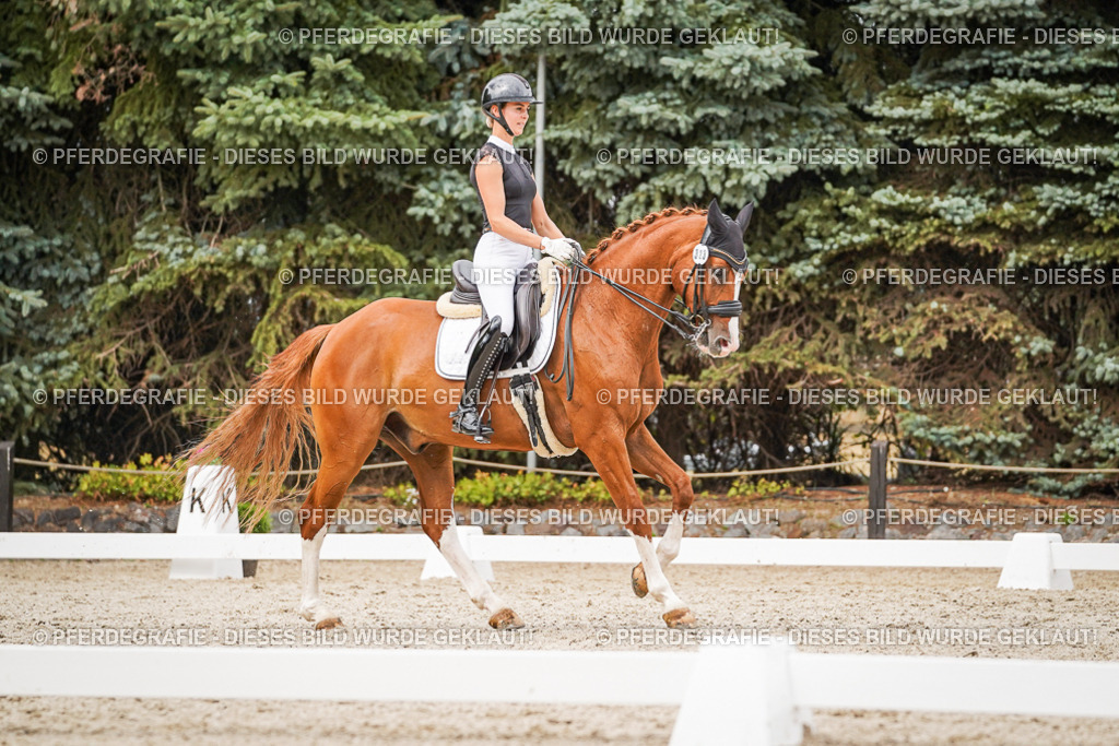 DSC07890 | Pferdegrafie