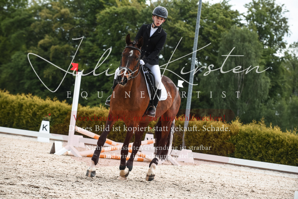 20230518_JK-Röhrsdorf-10-178 | Pferde- und Turnierfotografie in Westsachsen. Pferdeportraits, Auftragszeichnungen und intuitive Kunst.