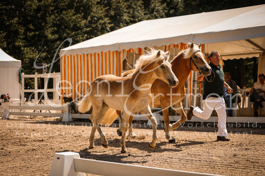 06.DoH00008 | Leoni Ertmer Photography - Realisiert mit Pictrs.com