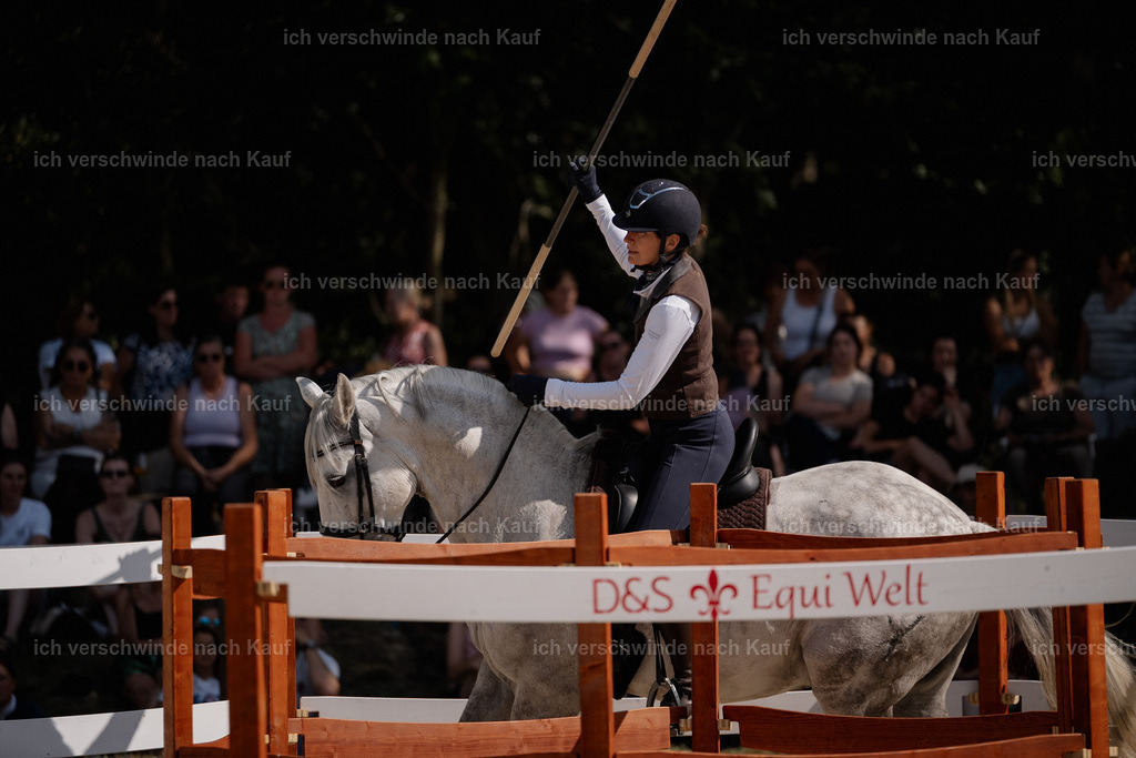 WS_SP_139_Stoibphotography_SO11201 | working equitationturnier fotograf videograf stoibphotography marixx film working equitation deutschland reitsport turnierfotografie eventfotografie equestrian events