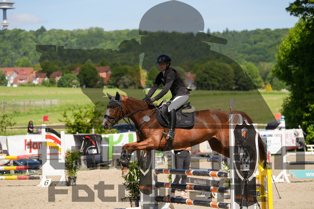 DSC02220 | Julian Held Fotografie - Realisiert mit Pictrs.com