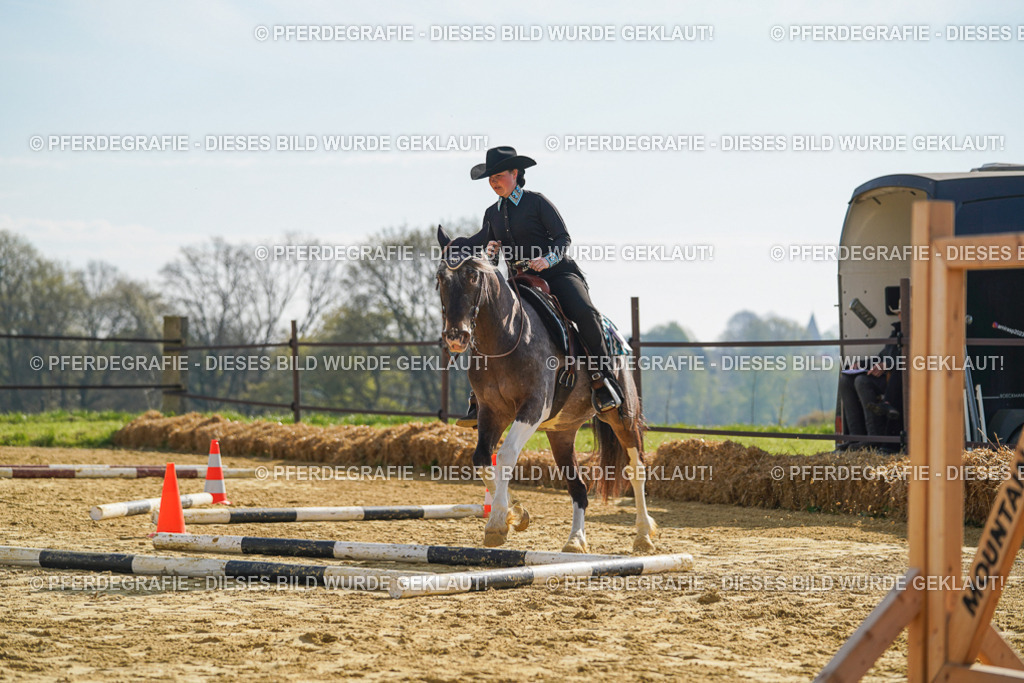 DSC01104 | Pferdegrafie