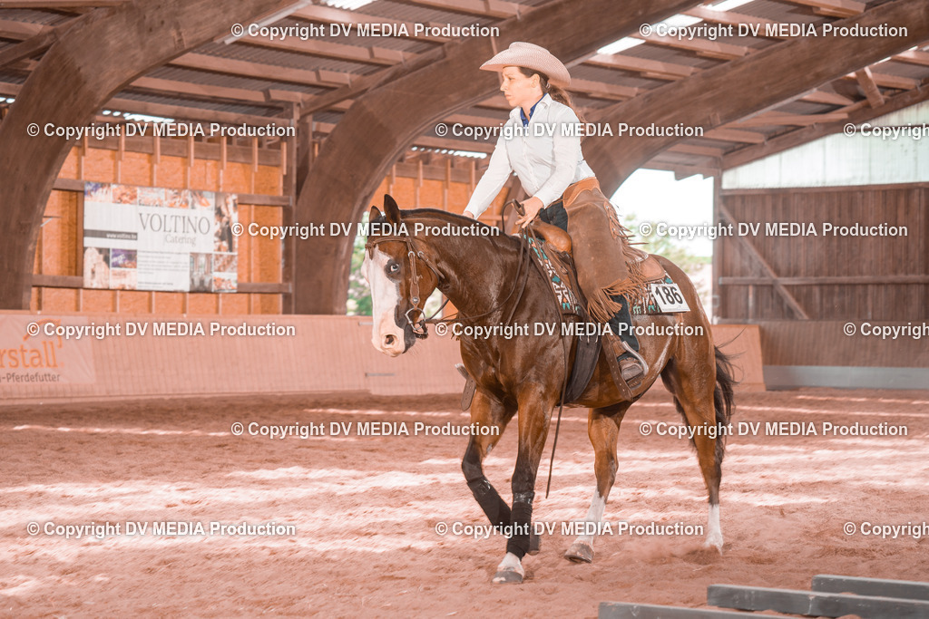 NE300487 | dv-media-shop - Realisiert mit Pictrs.com