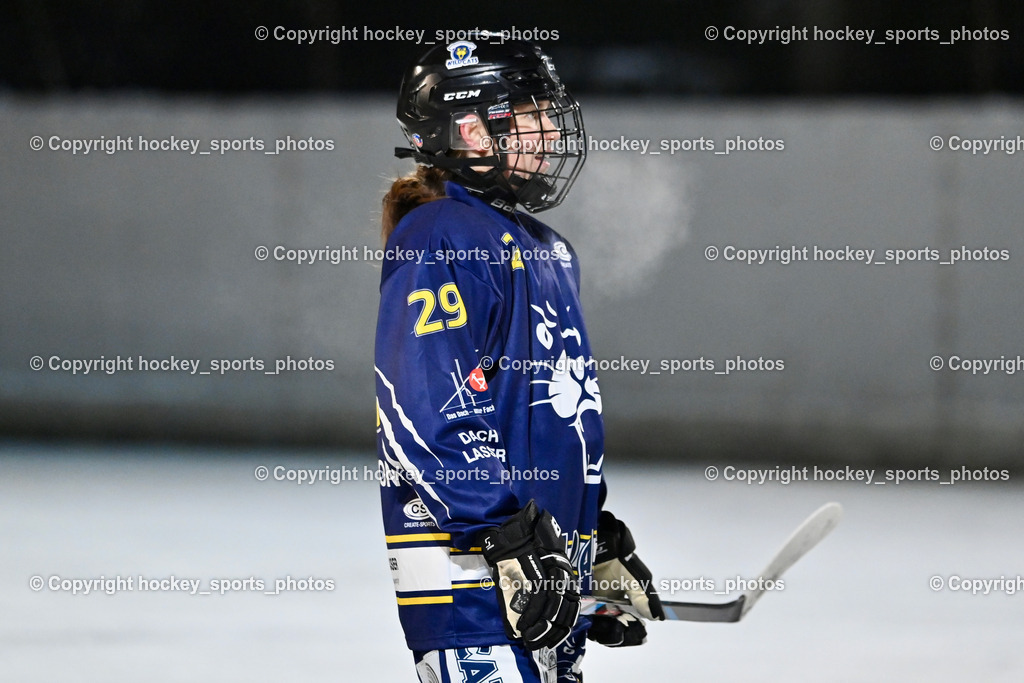 Wildcats Paternion vs. Unicorns Steindorf | #29 Brunner Tatjana WILDCATS PATERNION, Wildcats Paternion vs. Unicorns Steindorf, Wildcats Paternion vs. Unicorns Steindorf am 02.01.2026 in Paternion (Eislaufplatz Paternion), Austria, (Photo by Bernd Stefan)
