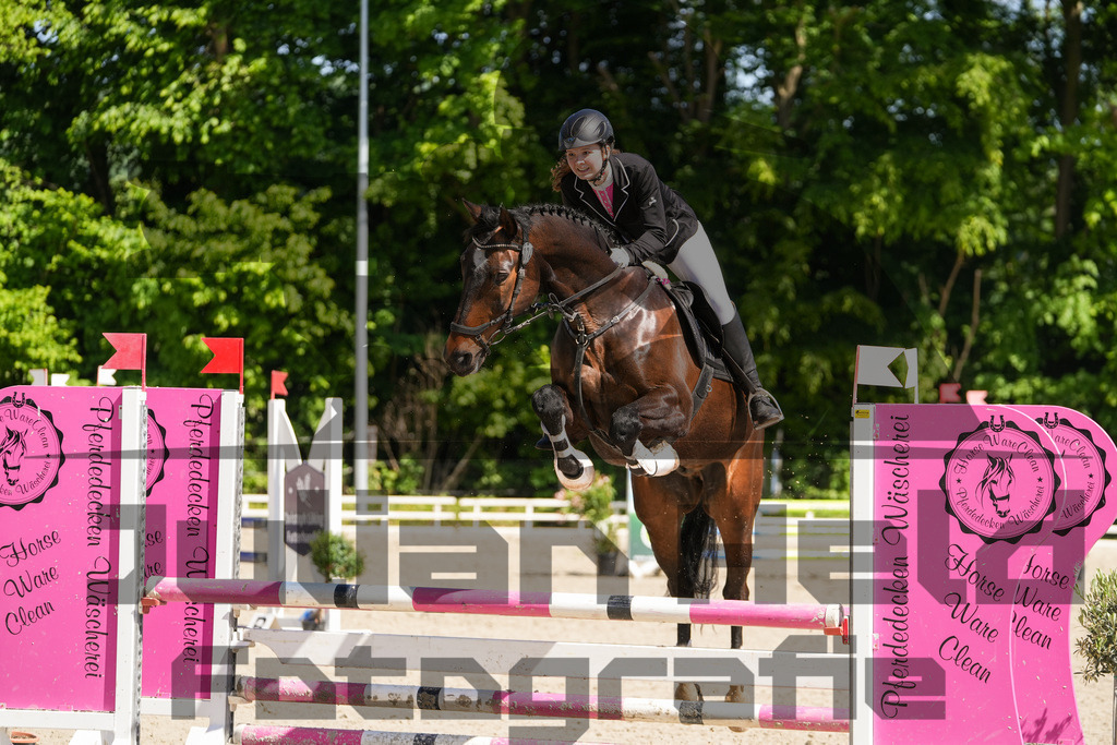 DSC02182 | Julian Held Fotografie - Realisiert mit Pictrs.com