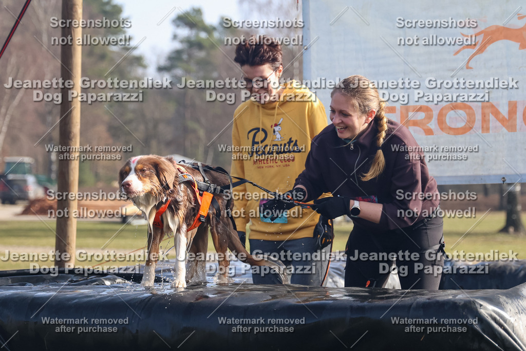 Dog Paparazzi - Strongdog North Mrz26-761 | Dog Paparazzi Jeanette Grottendiek Fotografie & Videografie - Realisiert mit Pictrs.com