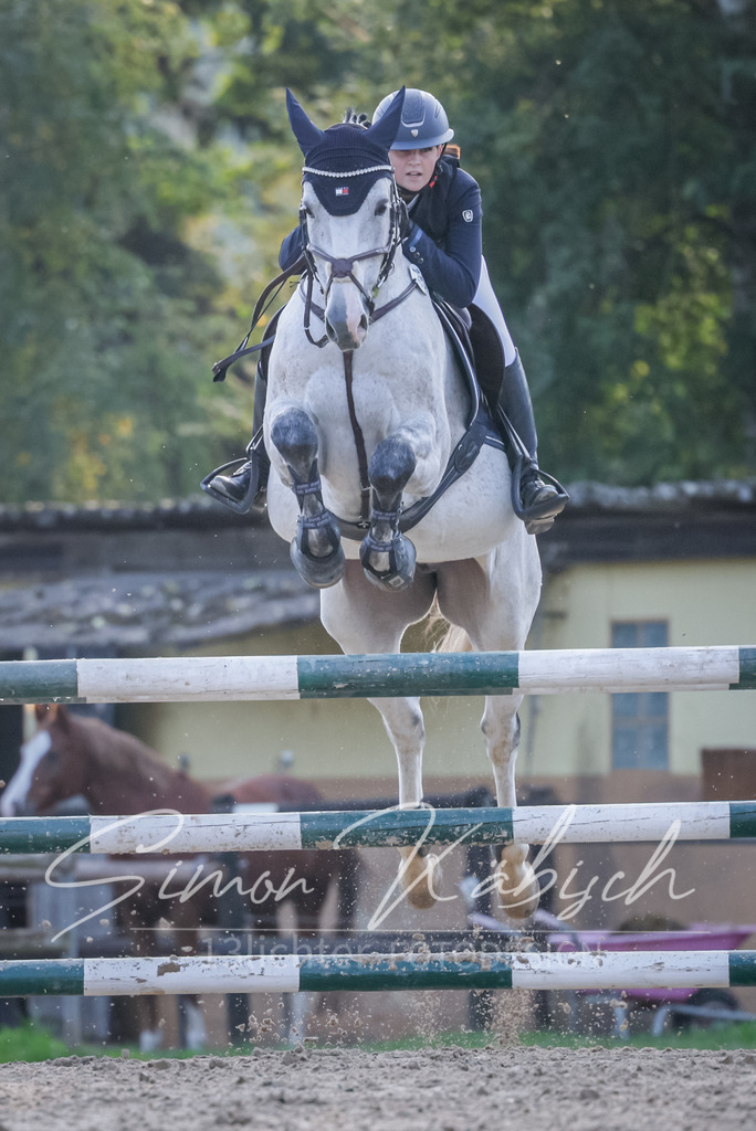 20251012-_3LI5727 | Tierfotografie Pferde, Hunde, Katzen, Haustiere.
Turnierfotografie Reitturniere, Reiten, Springreiten, Dressur in Hanau, dem Main-Kinzig-Kreis und dem Rhein-Main- Gebiet um Frankfurt