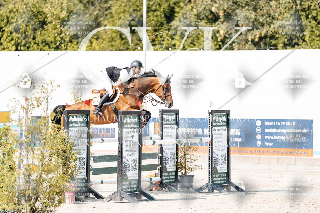 CK902113 | Turnierfotografie Pferdefotografie Trier Rheinland-Pfalz Pferdesport Reitsport Tierfotografie Sportfotografie Pferdevideo Pferdevideografie Equestrianvideography equestrianphotography  - Realisiert mit Pictrs.com