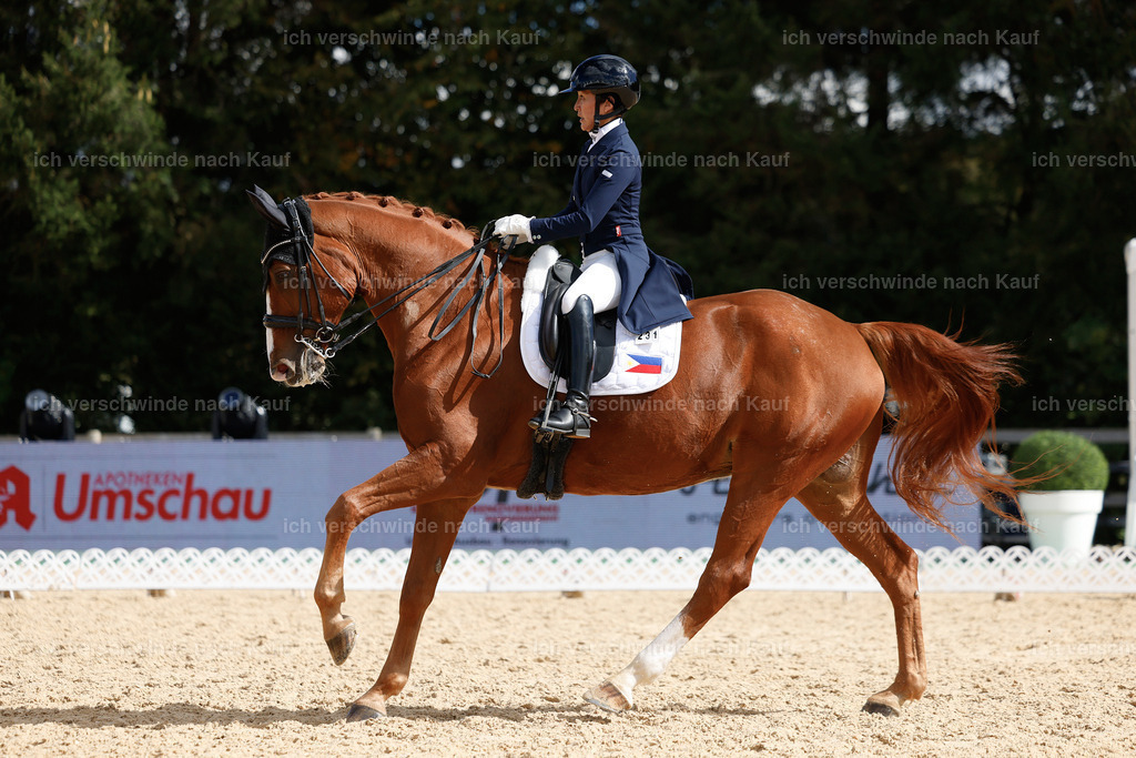 09_2-231-DRESSUR  S_  -StoibPH-5926 | working equitationturnier fotograf videograf stoibphotography marixx film working equitation deutschland reitsport turnierfotografie eventfotografie equestrian events