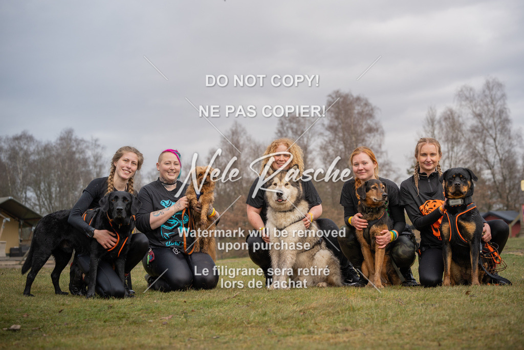 nelerasche_1330-1400_126 | nelerasche
