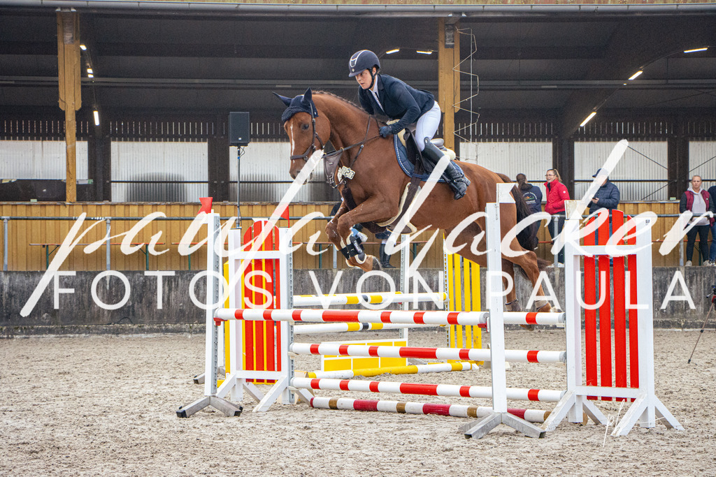 IMG_2629 | Erleben Sie dynamische Sport- und emotionale Tierfotografie in Süddeutschland mit Fotos von Paula. Spezialisiert auf Pferde- und Hundefotografie sowie Sportevents. Kontaktieren Sie mich für einzigartige und ausdrucksstarke Bilder Ihrer besonderen Momente. - Realisiert mit Pictrs.com