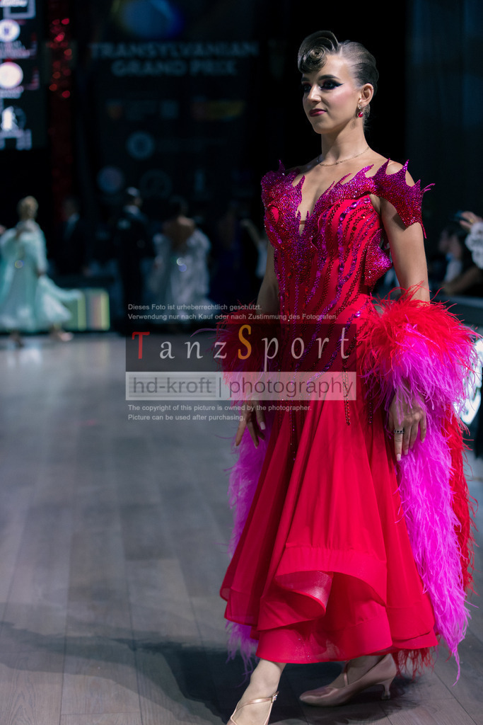 20251101_TGP_5083 | Tanzsportbilder, Standardtanz, Lateintanz, WDSF, DTV, LTVB, dancecomp, goc, hessen tanzt, blaues band der spree, walzer, tango, wiener walzer, slowfox, quickstepp, samba, rumba, cha-cha-cha, paso doble. jive, hd-kroft photography, turniertanzsport