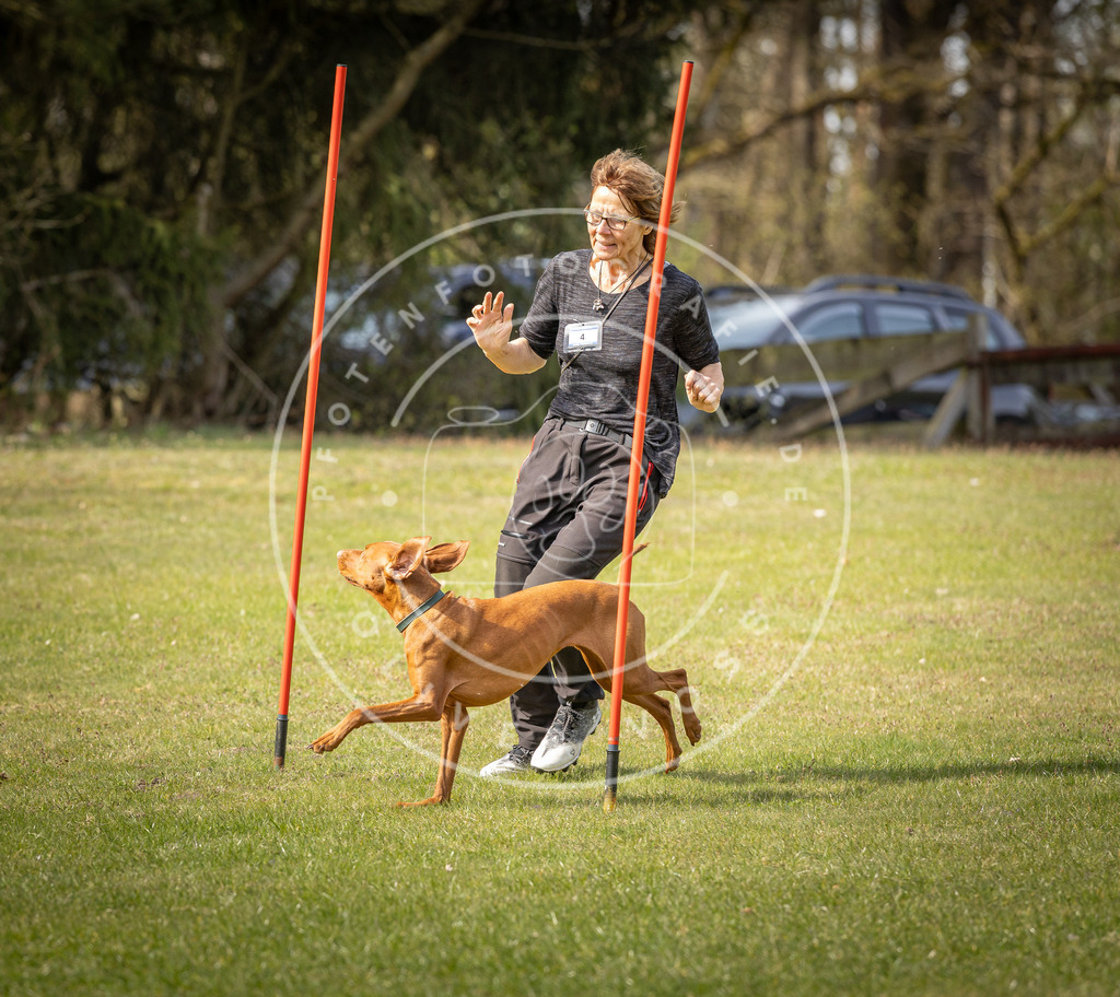 Pfotenfotografie_DV3A9628 | Hundefotografie, Tierfotograf, Pfotenfotografie, Fotoshooting Hund, Hunde Portrait, Hundesport, Hundeportraits, Heideshooting, Hunde, Sportfotograf, Hundefotograf, Turnierhundsport, THS,  - Realisiert mit Pictrs.com
