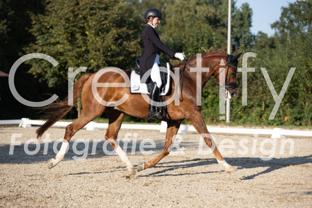 IMG_1353 | Creatify Fotografie