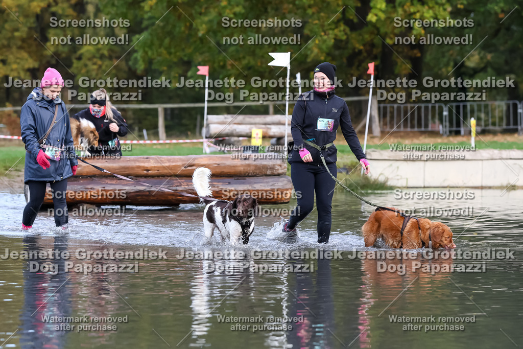 Dog Paparazzi - Strongdog 10-25-6829 | Dog Paparazzi Jeanette Grottendiek Fotografie & Videografie - Realisiert mit Pictrs.com