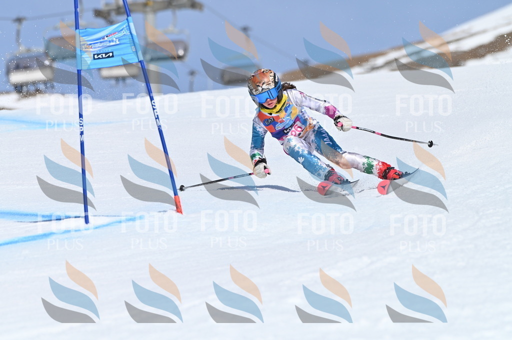 BGV_9914 | holidayphoto