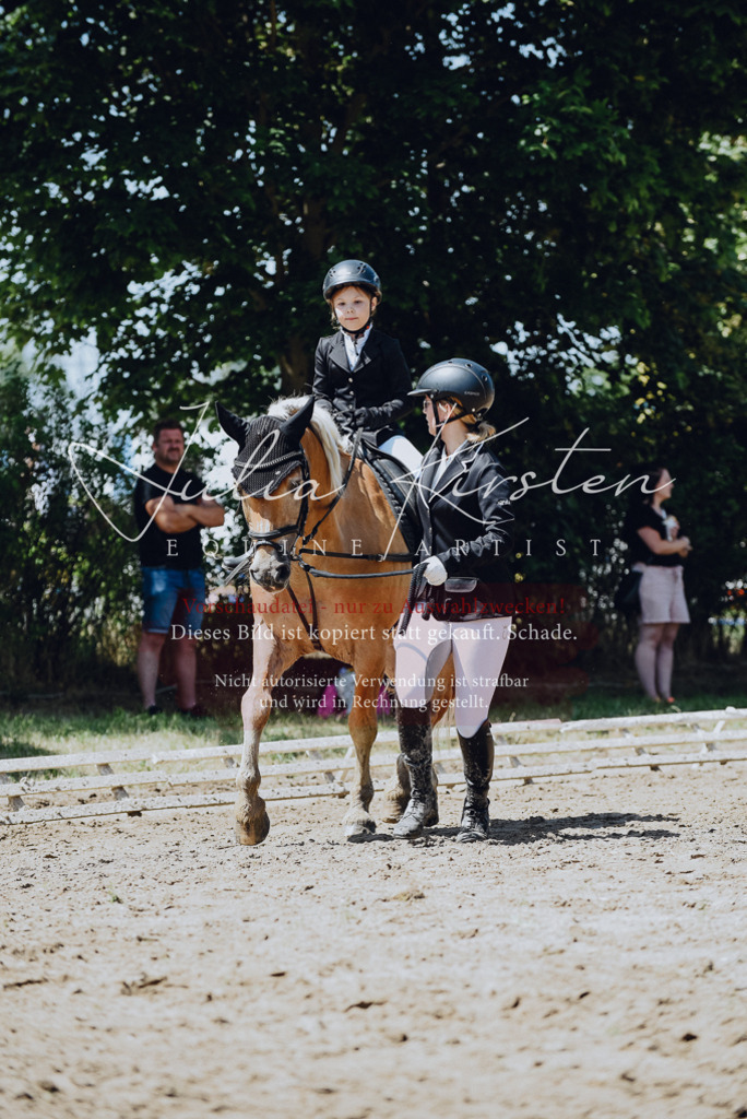 DSC_2527 | Pferde- und Turnierfotografie in Westsachsen. Pferdeportraits, Auftragszeichnungen und intuitive Kunst.
