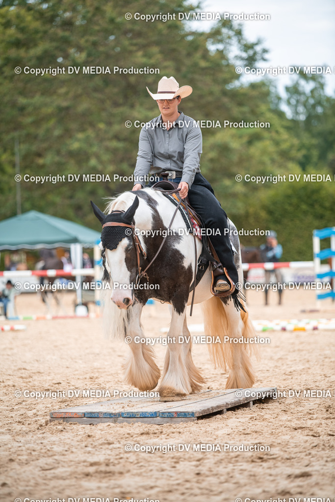 ZS2_8115 | dv-media-shop - Realisiert mit Pictrs.com