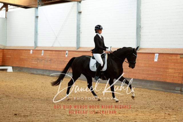 _62_6643 | Turniersportfotografie; Pferdefotografie; Dressurfotografie