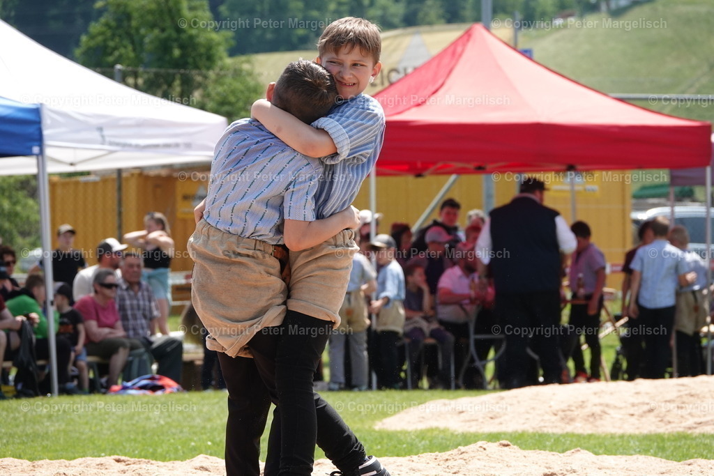 DSC04375 | Schwingen - Realisiert mit Pictrs.com