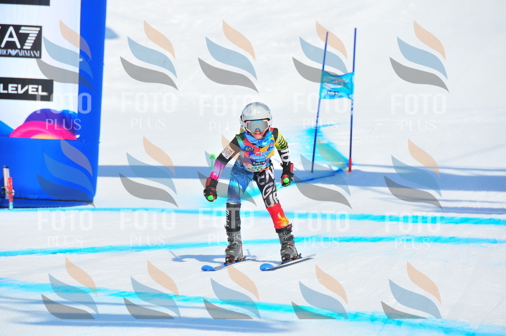 DSC_0642 | holidayphoto