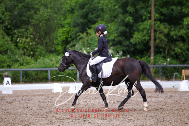 DKP47510 | Turnierfotos kaufen im Webshop von Daniel Kuhl Photography – entdecke professionelle Reitsportfotos aus Turnieren & Events. Hochwertige Turnierbilder online bestellen & sichern. Jetzt Fotos von Reitsportturnieren kaufen!