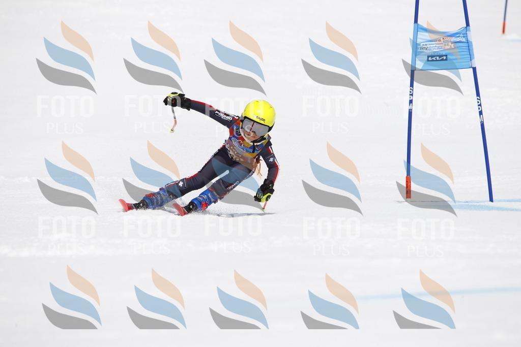 _U3G6290 | holidayphoto