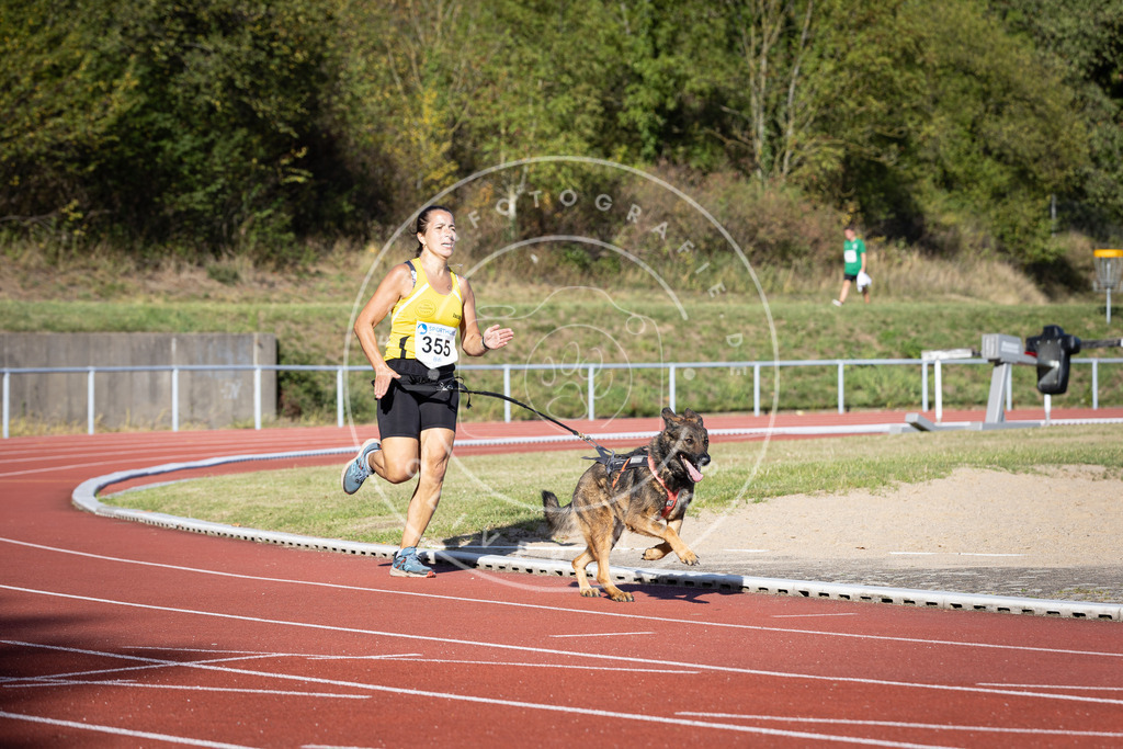 Pfotenfotografie_DV3A9766 | Hundefotografie, Tierfotograf, Pfotenfotografie, Fotoshooting Hund, Hunde Portrait, Hundesport, Hundeportraits, Heideshooting, Hunde, Sportfotograf, Hundefotograf, Turnierhundsport, THS,  - Realisiert mit Pictrs.com