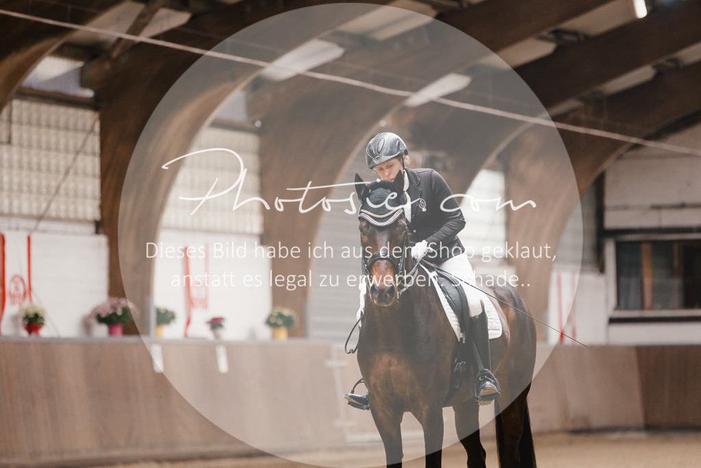 3I6A8707 | Stimmungsvolle Portraits und Reitsportfotografie im Ruhrgebiet und im Münsterland.

Pferdefotografie, Hundefotografie, Tierfotografie, Reportagen, Portraits von Tier und Mensch, Turnierfotografie in Bochum, Recklinghausen, Marl, Haltern am See, Dülmen.. - Realisiert mit Pictrs.com