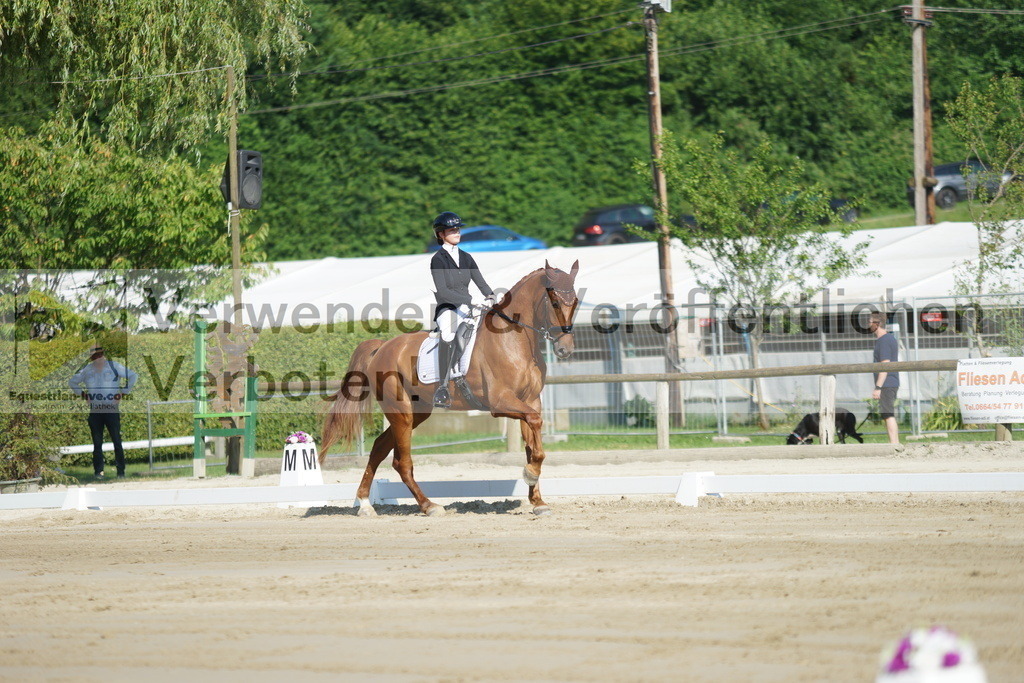 DSC03996 | equestrian-live-com