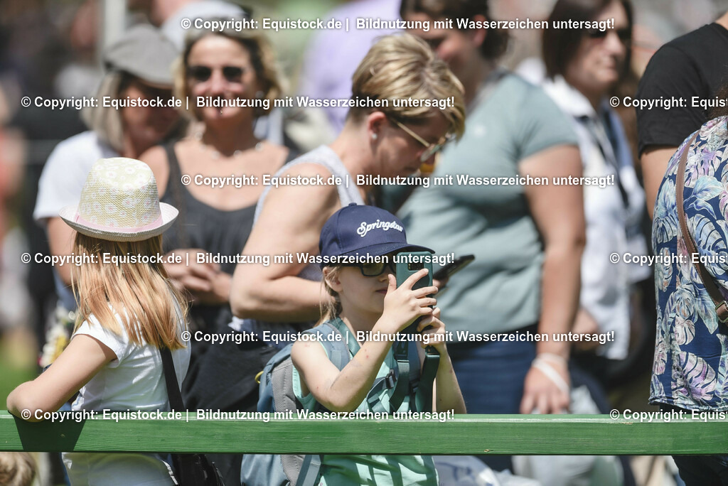 TP5_1363 | equistock